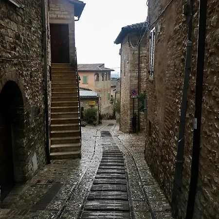 Belvedere スペッロ